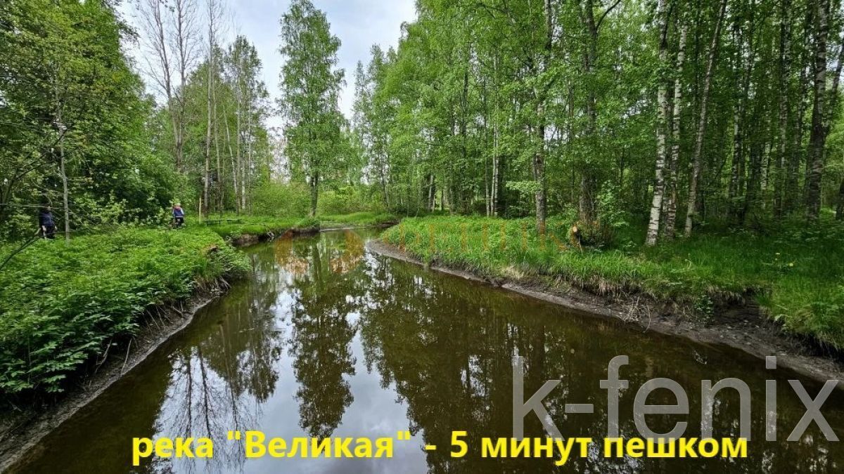участок 6 сот